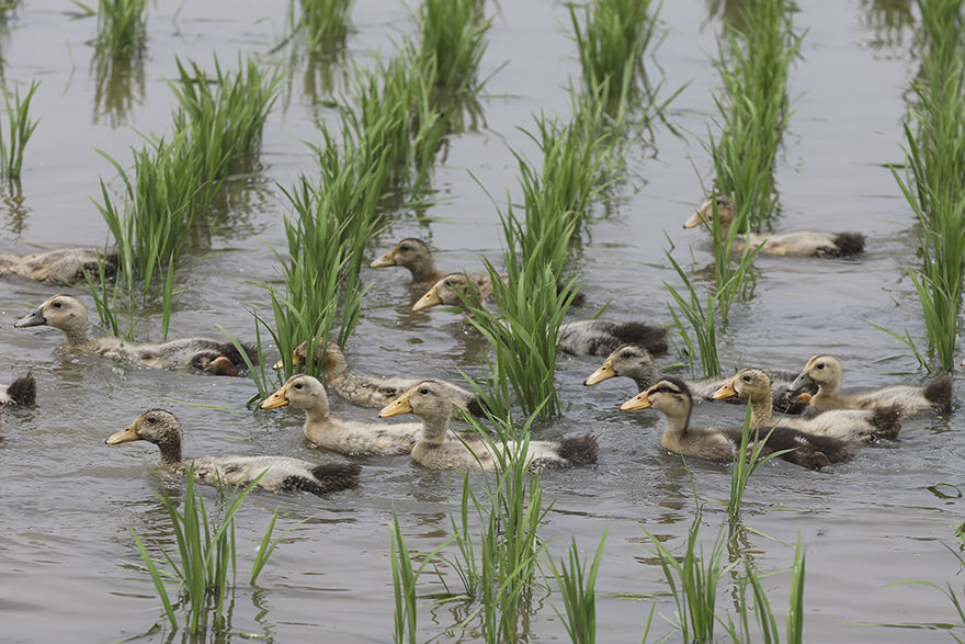 ?????? ? ???????: ????? ????? ?????? ???? ???? ?????? ?????