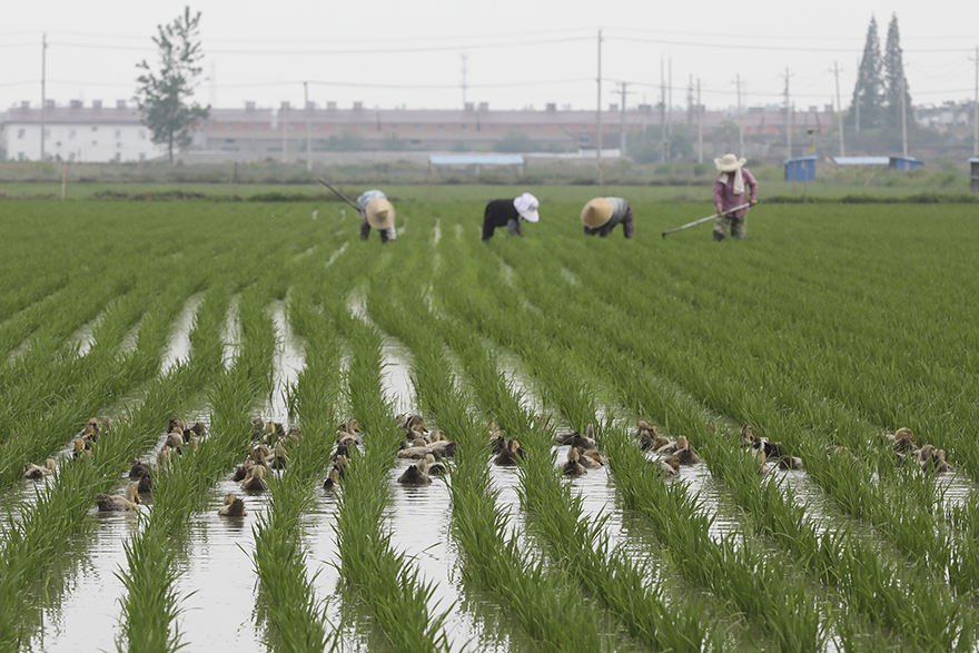 ?????? ? ???????: ????? ????? ?????? ???? ???? ?????? ?????