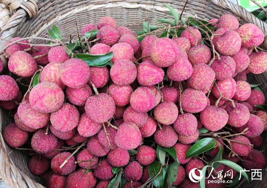 ??????? ? ???????: ??? ????? ??????? ?? ?? ????