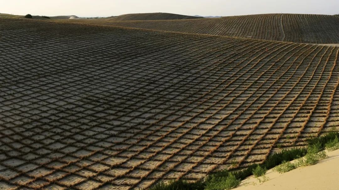 ????? ???? ????? ?? ??????? ??? ?????? ?? ??????? ????????