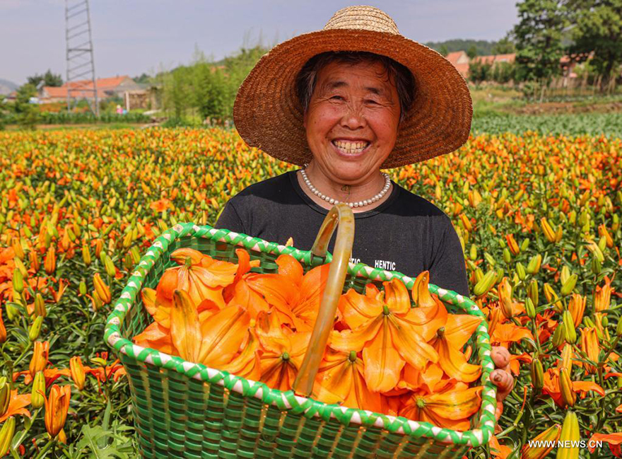 ????? ???? ???????? ???? ????? ?????? ?? ???? ?????