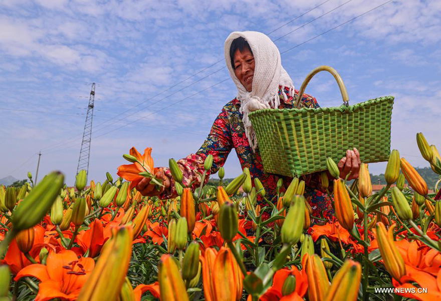 ????? ???? ???????? ???? ????? ?????? ?? ???? ?????