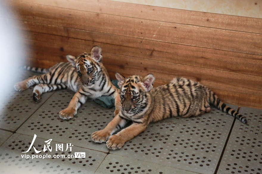 ????????: ???? ????? ????? ?? ????? ????????? ????? ????? 