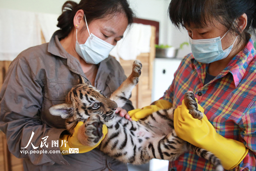 ????????: ???? ????? ????? ?? ????? ????????? ????? ????? 