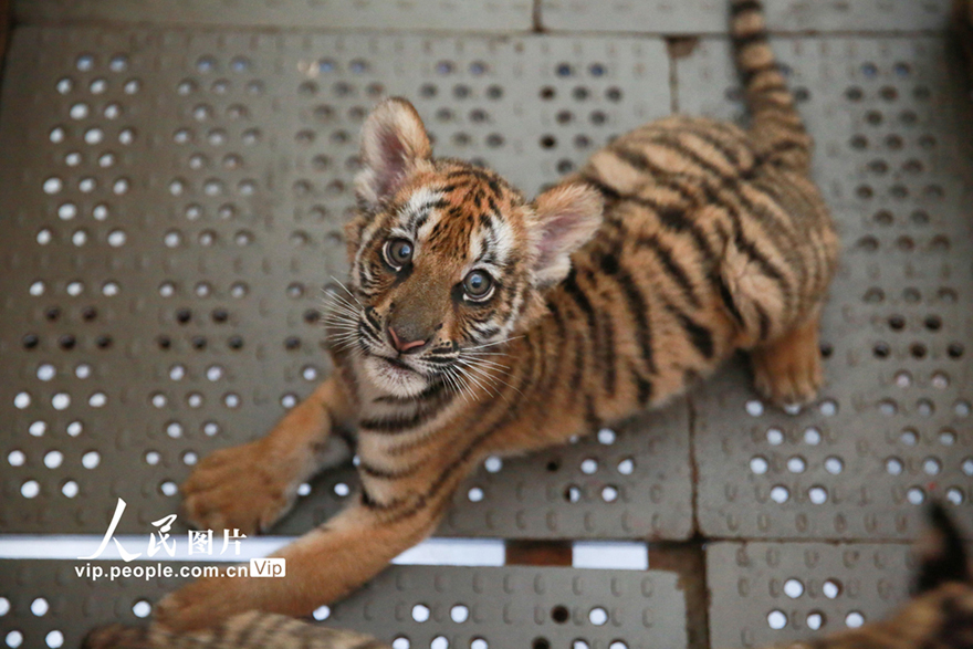 ????????: ???? ????? ????? ?? ????? ????????? ????? ????? 