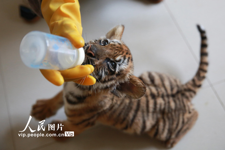 ????????: ???? ????? ????? ?? ????? ????????? ????? ????? 