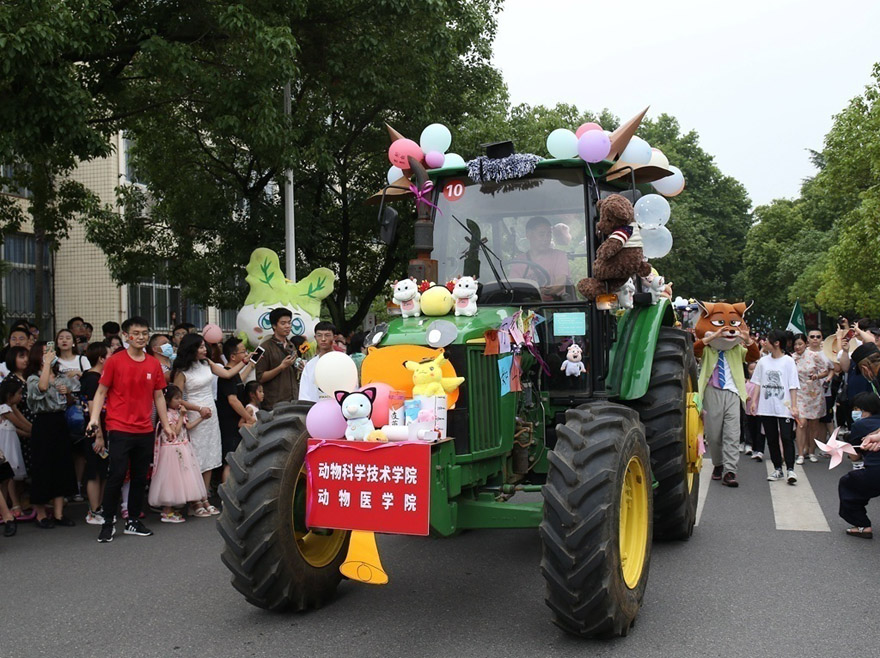 ???? ????? ?????? .. ???? ???? ????? ????? ???????? ???????? ????? ??? 