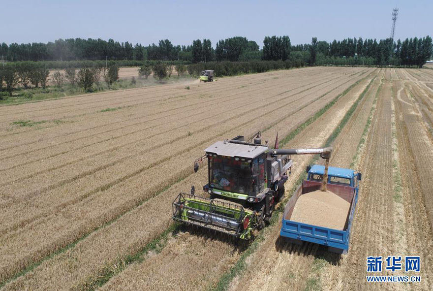 ??? ????? ???? ?????? ??????