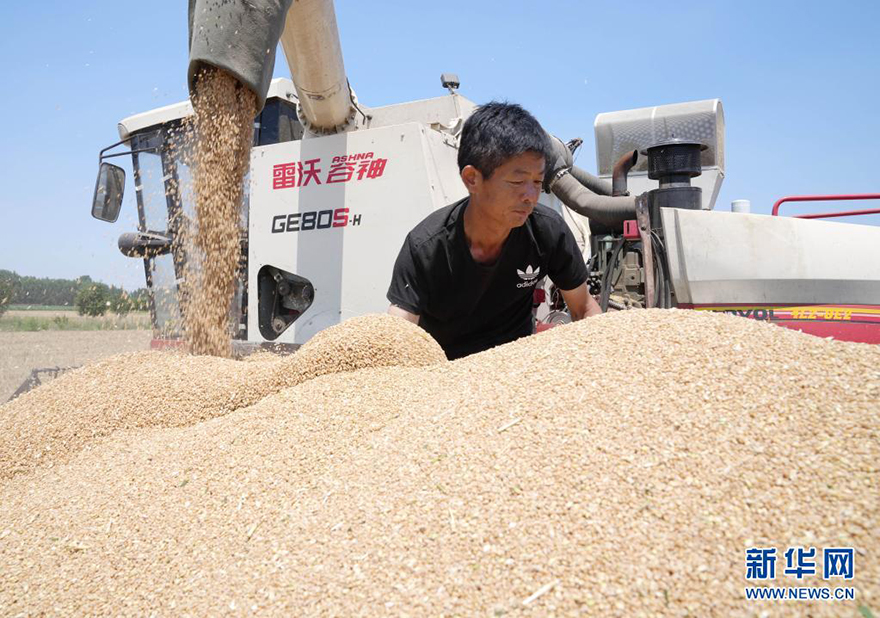 ??? ????? ???? ?????? ??????