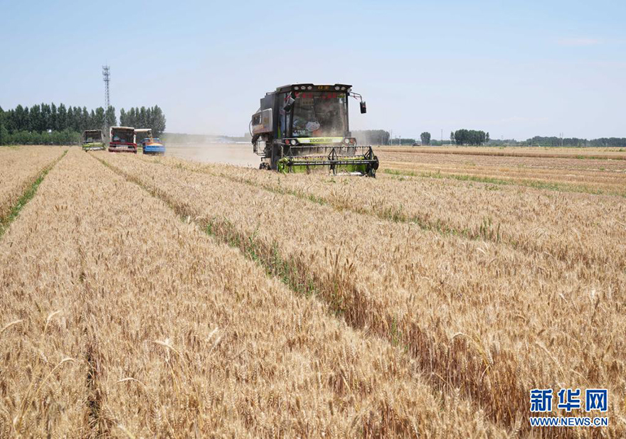 ??? ????? ???? ?????? ??????