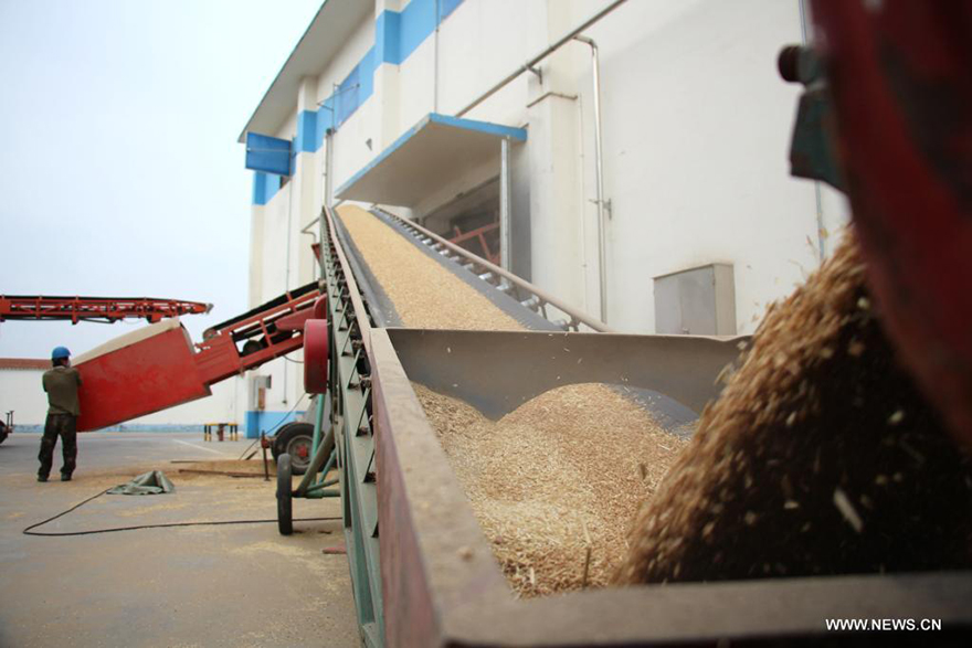 ????? ???? ?????? ?????? ??????