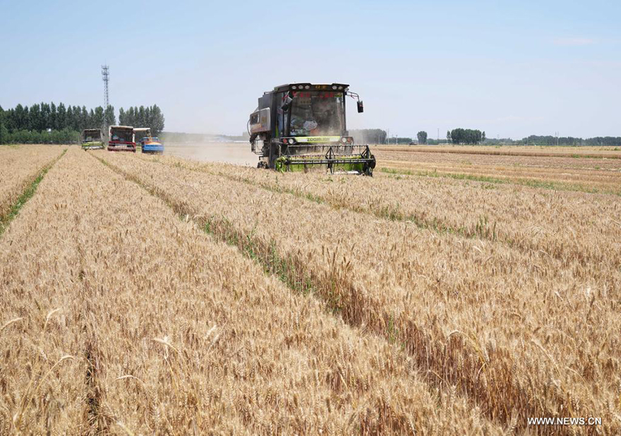 ????? ???? ?????? ?????? ??????