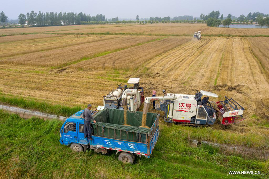 ????? ???? ?????? ?????? ??????