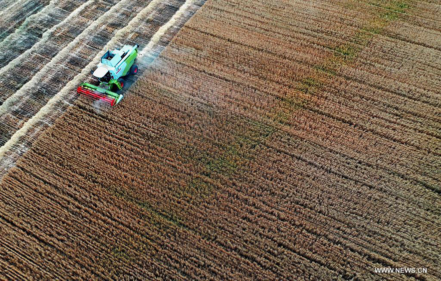 ????? ???? ?????? ?????? ??????