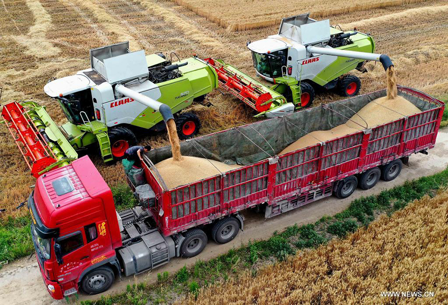 ????? ???? ?????? ?????? ??????