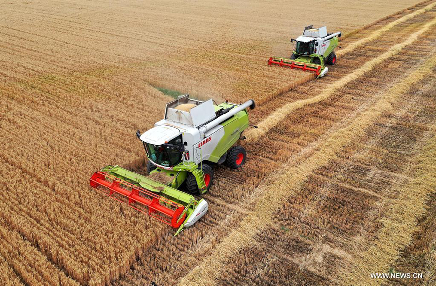 ????? ???? ?????? ?????? ??????