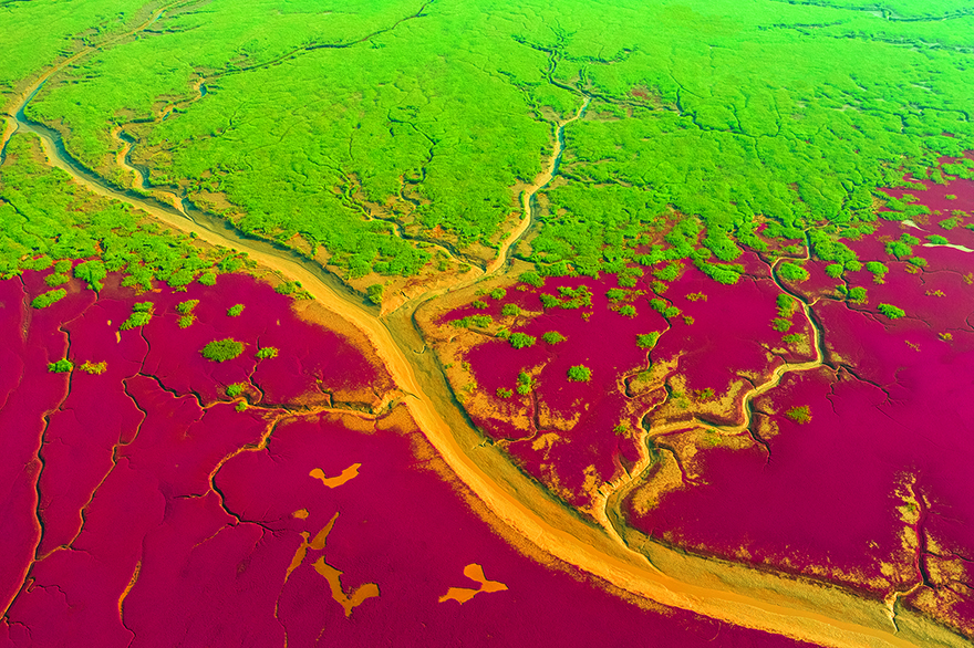 ?????? ? ????????: ???? ???? ????