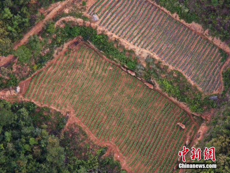 ???? ??????? ??????? ?? ????? ????? ????? ??? ?????? ??????