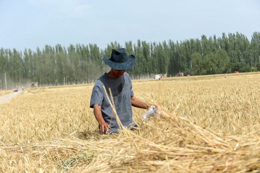 ???? ???? ??????? ???? ????? ??????? ?? ???? ???????? ?????????