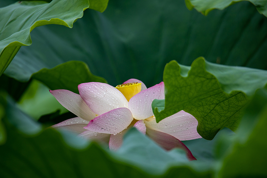 ????? ?????? ????? ?? ????? ???????? ??????? ??????