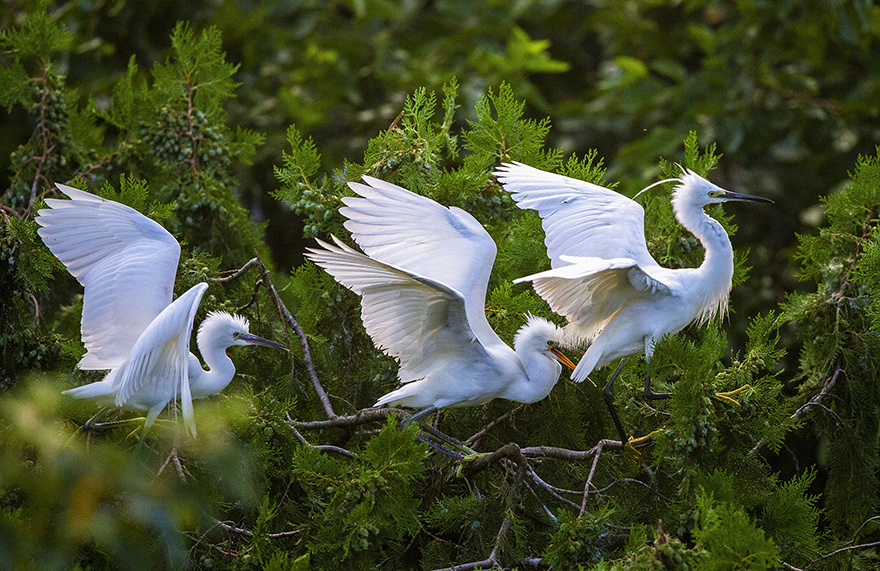 ????? ????? ???? ??????? ?? ?????? ??????? 