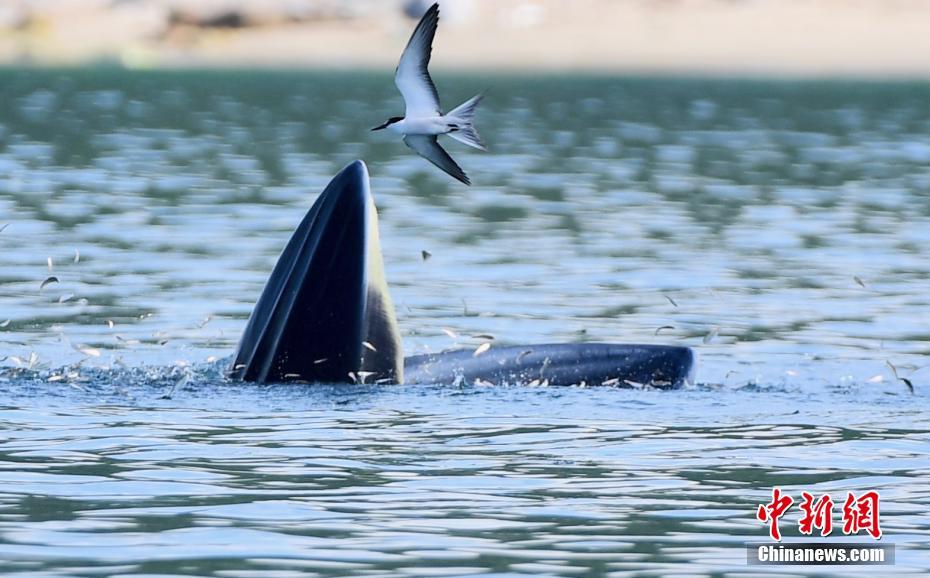 ???? ???? ???? ????? ?? ????? ?????