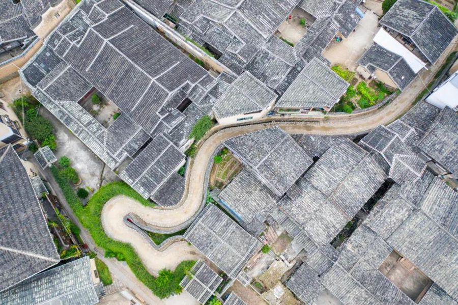 ????? ?????? ??????? ???? ?????? ????? ?????? ??????? ??????