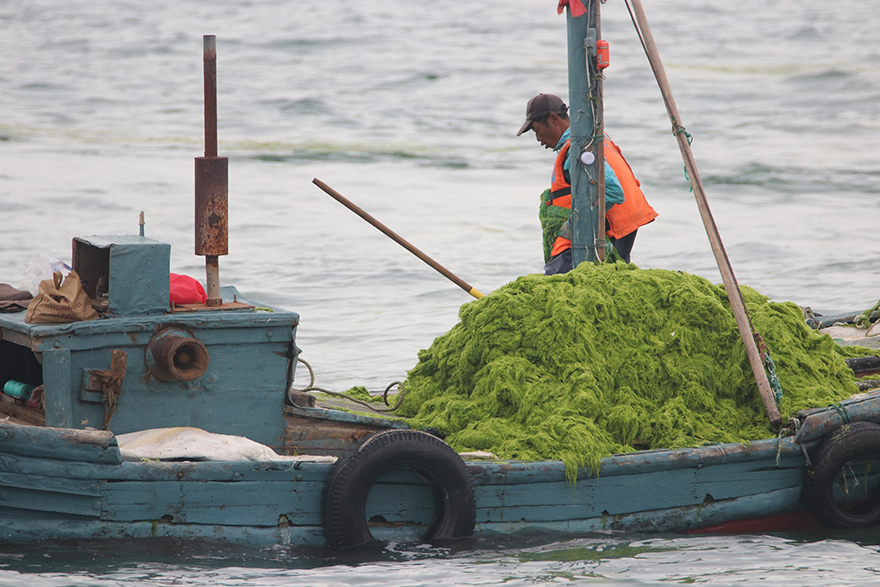 ????? ?????? ????? ???? ???? ????? ???????