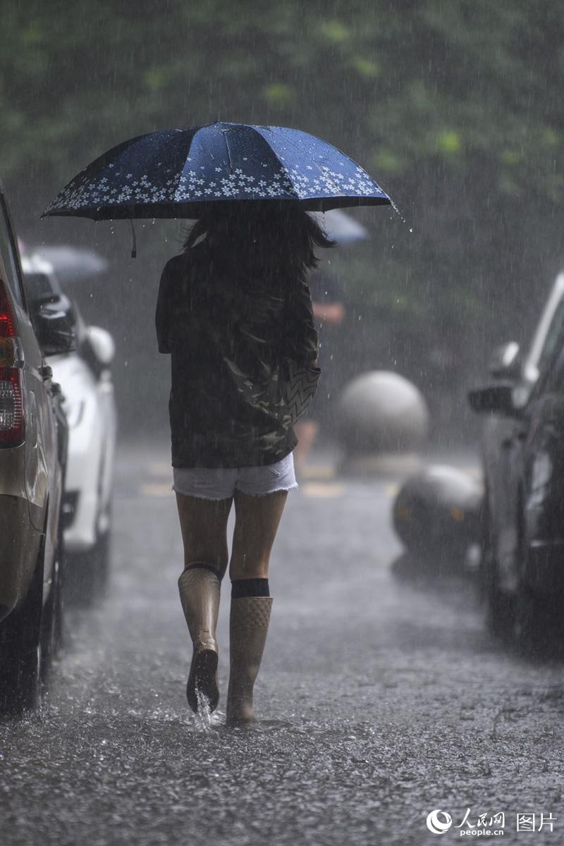 ????? ????? ???? ????