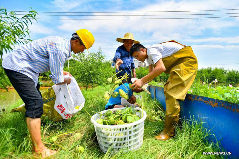 ???? ???? ?????? ?? ????? ???????