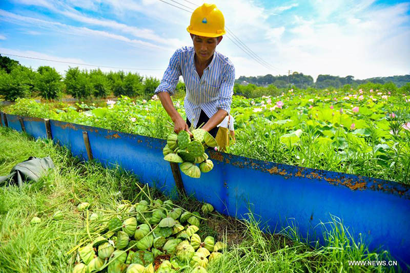 ???? ???? ?????? ?? ????? ???????