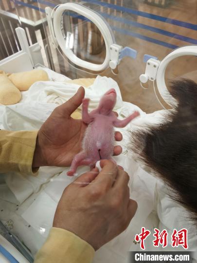 ?????? ?? ???? ??????? ???????? ????? ????? ????? ?? ??? ????? ????? ???? ?????