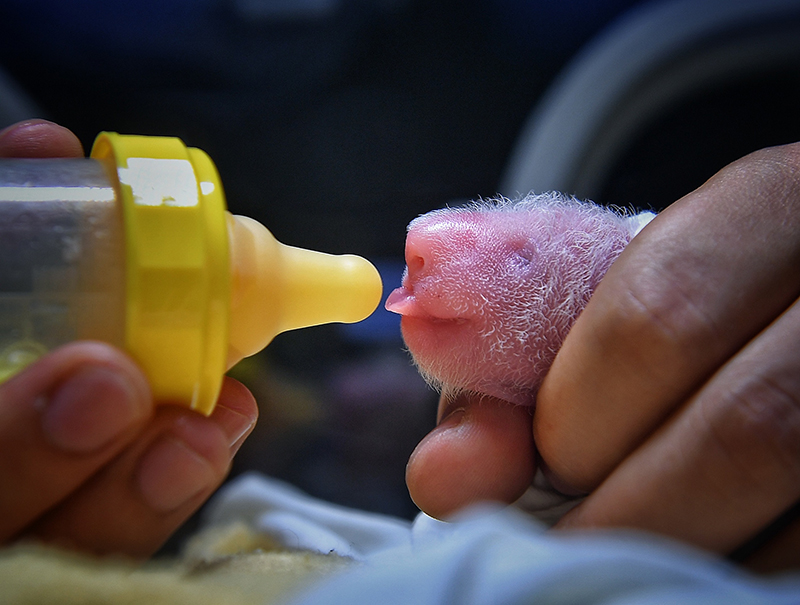 ?????? ?? ???? ??????? ???????? ????? ????? ????? ?? ??? ????? ????? ???? ?????