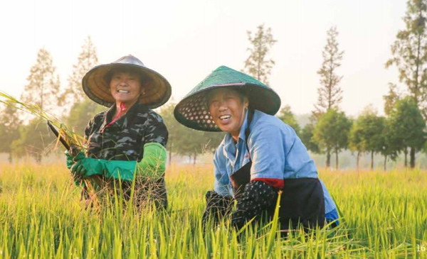 ????? ???? ???????? ??????? ???? ?????? ?? ??????? ???????(3): ?????????? ????????: 20 ??? ???? ??? ???? ?? ?????