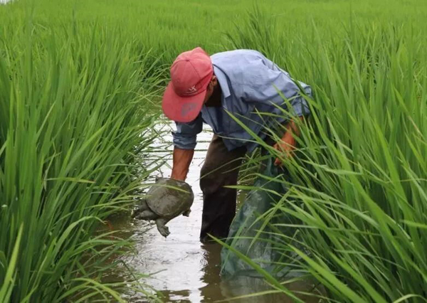 ????? ???? ???????? ??????? ???? ?????? ?? ??????? ???????(3): ?????????? ????????: 20 ??? ???? ??? ???? ?? ?????