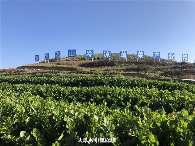 ????? ???? ???????? ??????? ???? ?????? ?? ??????? ???????(4): ???????? ??????? ???? ???? ?????