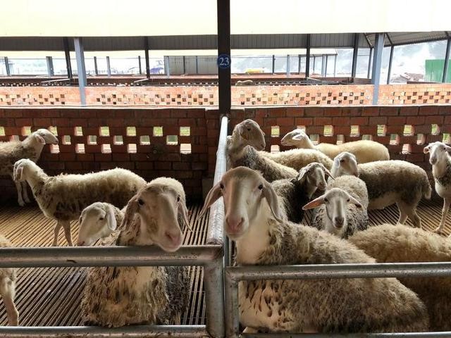 ????? ???? ???????? ??????? ???? ?????? ?? ??????? ???????(4): ???????? ??????? ???? ???? ?????