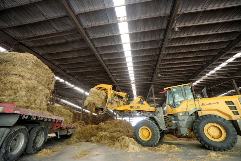 ????? ????? ???? ??? ?? ?????? ?????? ??? ???????? ??????? 