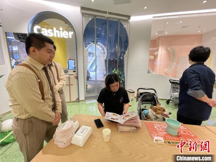 ??? ???? ????????? ??????? ????? ?? ??????