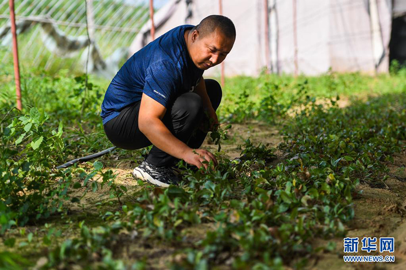 ????? ??????? ??????? ????? ?? ???????? ??????