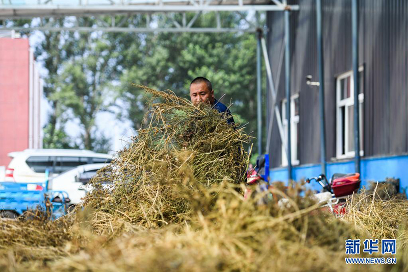 ????? ??????? ??????? ????? ?? ???????? ??????