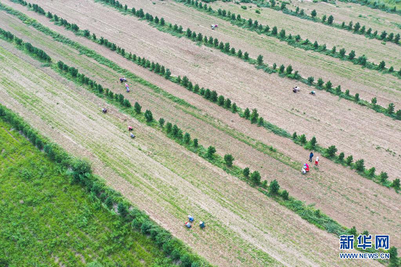 ????? ??????? ??????? ????? ?? ???????? ??????