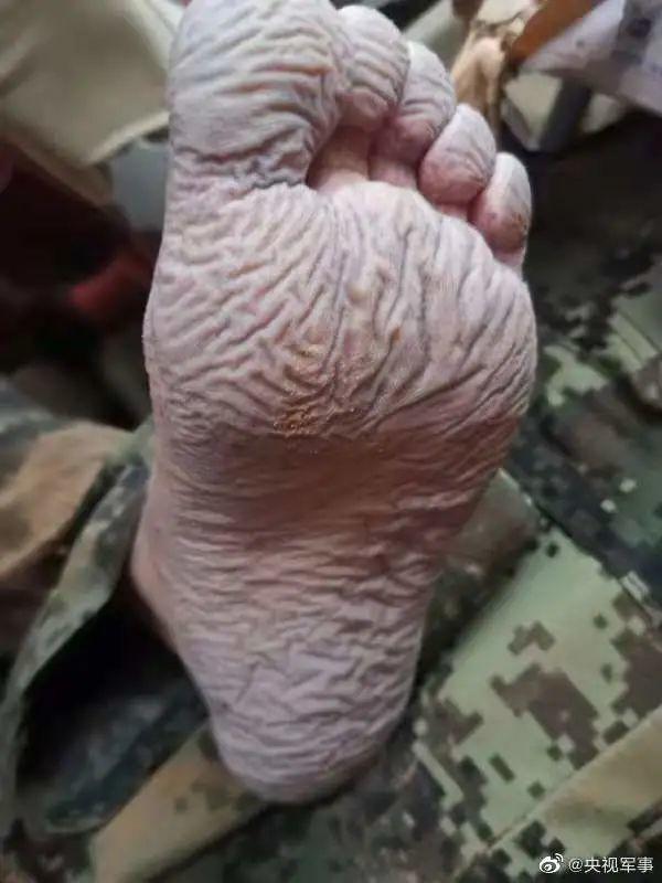 ?????? ????: ???? ????? ??? ??????? ?????? ?????? ??????? ?????? ????? ?????  