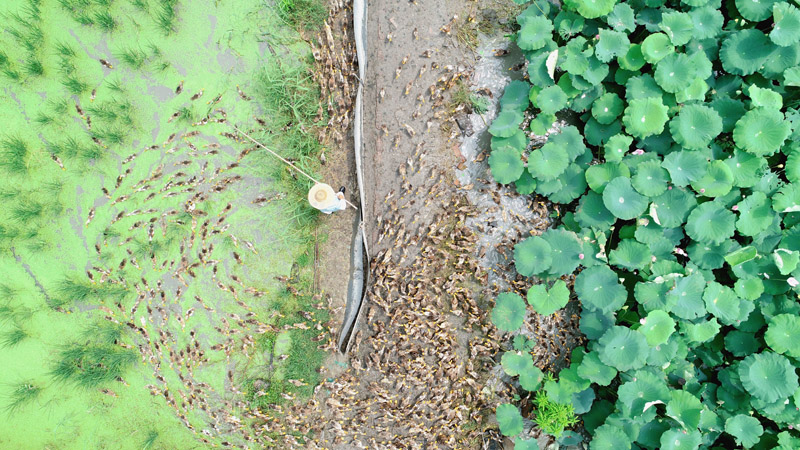 ????? ???? ?? ???? ????? ???????? ??????? ???? ????? ????? ?????????