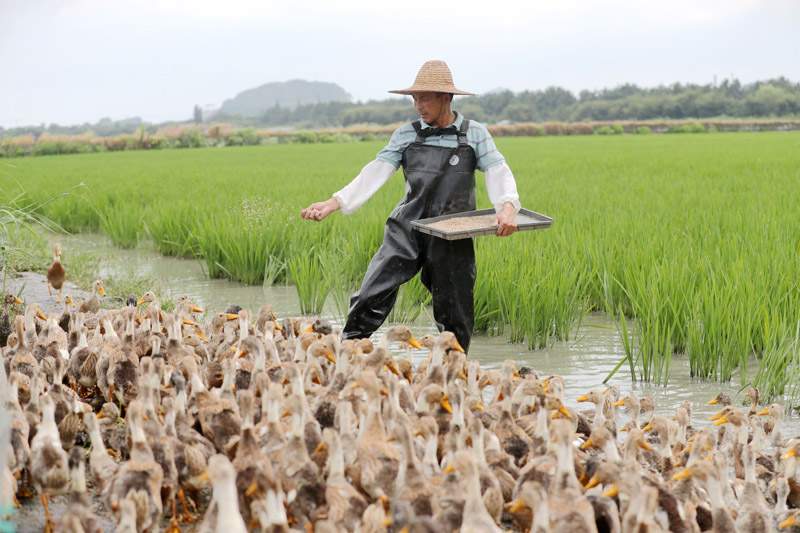 ????? ???? ?? ???? ????? ???????? ??????? ???? ????? ????? ?????????