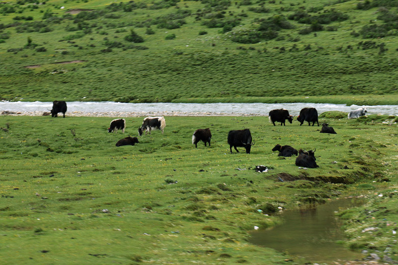 ?????? ????? ??????...????? ????? ???? ???????? ????????