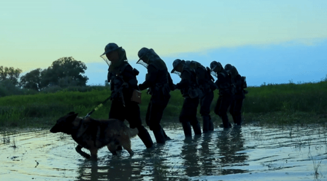 ??? ???? ???? ?????? ???????? ?????? ???? 