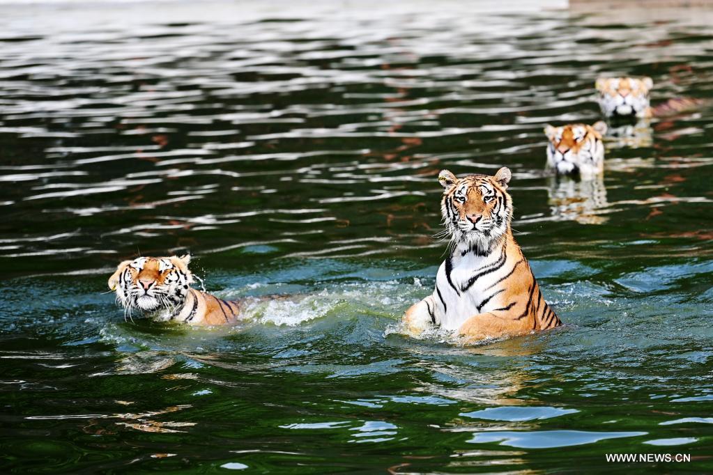 ?????? ????????? ??????? ????????? ?? ??????????? ??????