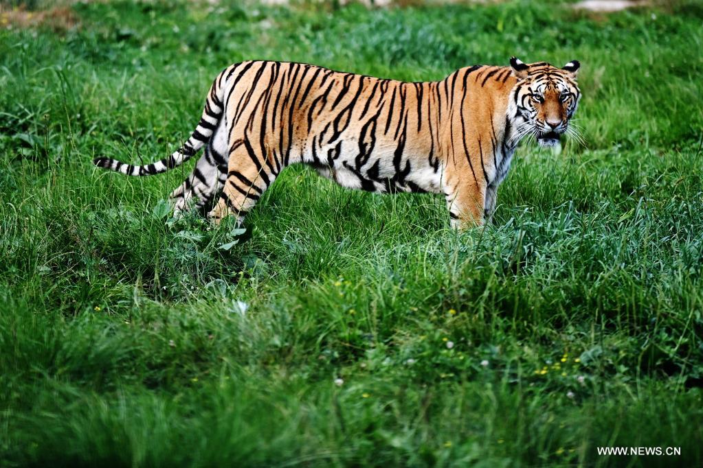 ?????? ????????? ??????? ????????? ?? ??????????? ??????