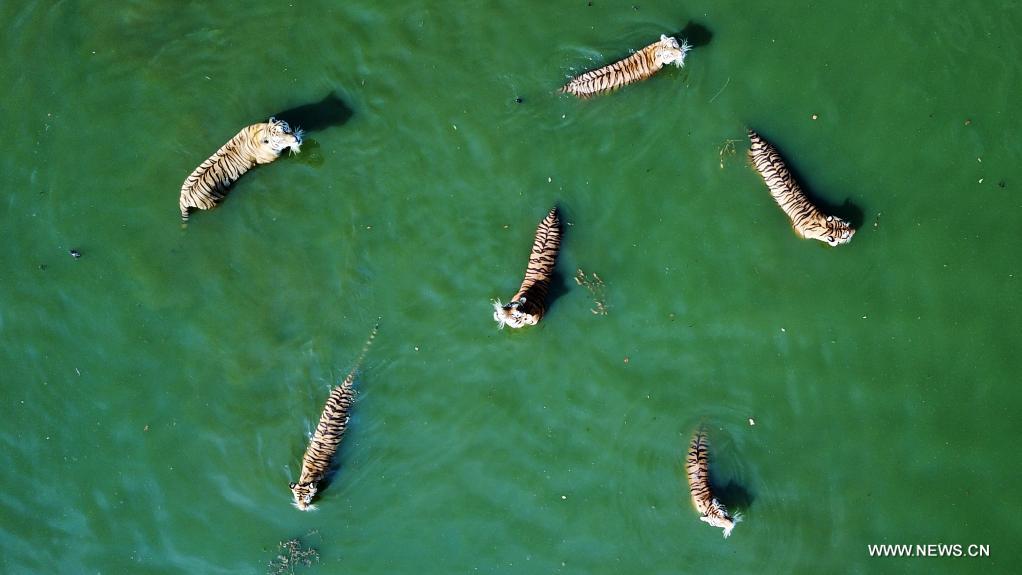 ?????? ????????? ??????? ????????? ?? ??????????? ??????